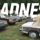 Image for article titled The World's Most Baffling Car Collection Is For Sale On Craigslist